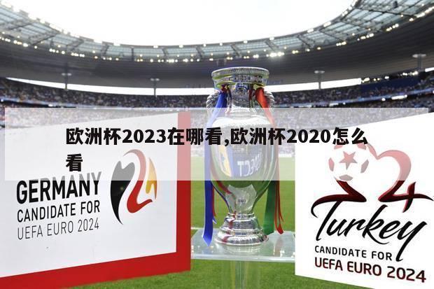 欧洲杯2023在哪看,欧洲杯2020怎么看