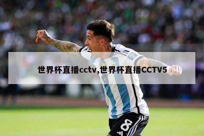 世界杯直播cctv,世界杯直播CCTV5