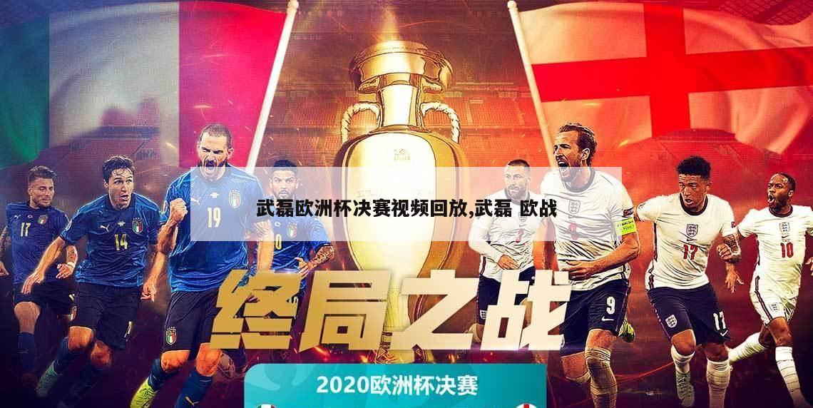 武磊欧洲杯决赛视频回放,武磊 欧战