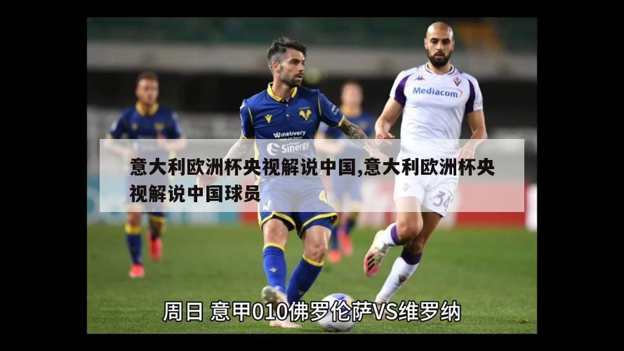 意大利欧洲杯央视解说中国,意大利欧洲杯央视解说中国球员
