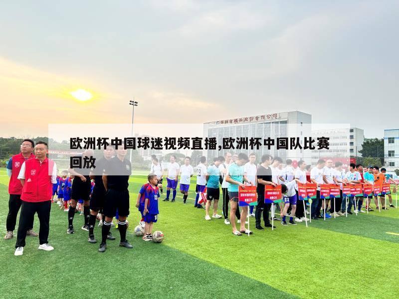 欧洲杯中国球迷视频直播,欧洲杯中国队比赛回放