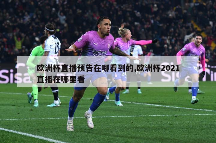 欧洲杯直播预告在哪看到的,欧洲杯2021直播在哪里看